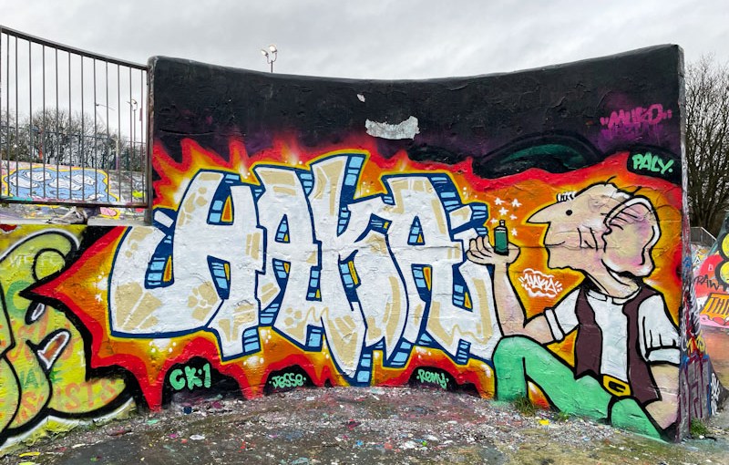 6630. Dean Lane skate park&nbsp;(793)