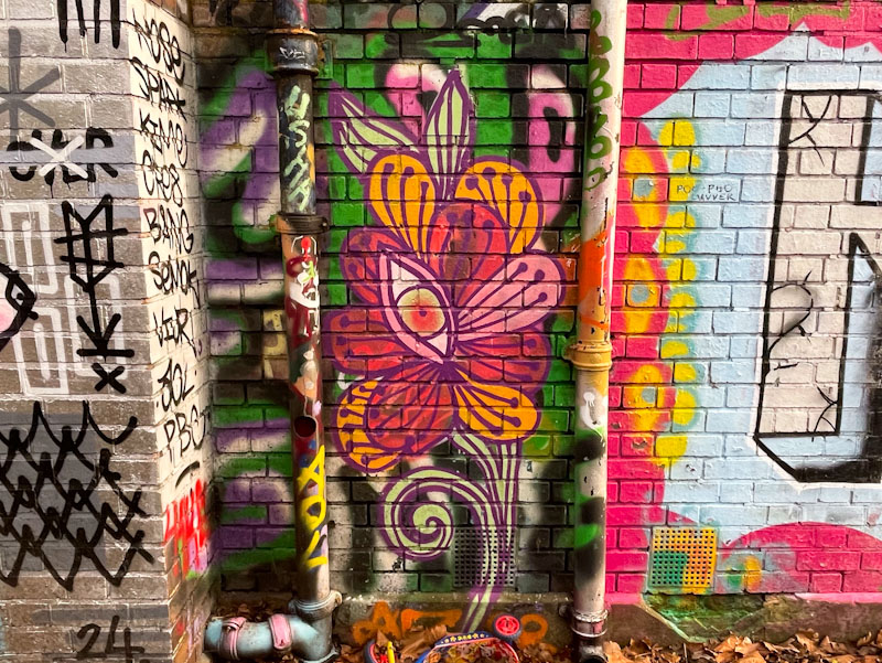 Peggy, Dean Lane, Bristol, December 2024