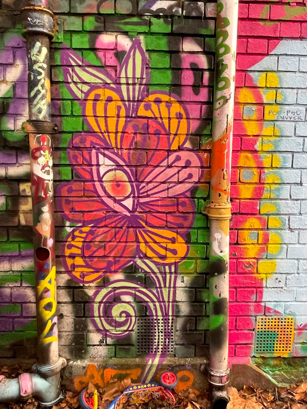 Peggy, Dean Lane, Bristol, December 2024