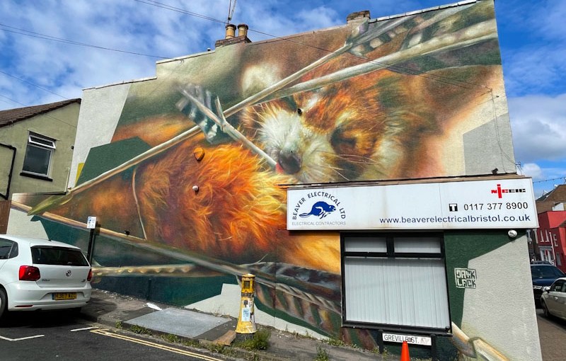 6601. Upfest 2024&nbsp;(60)