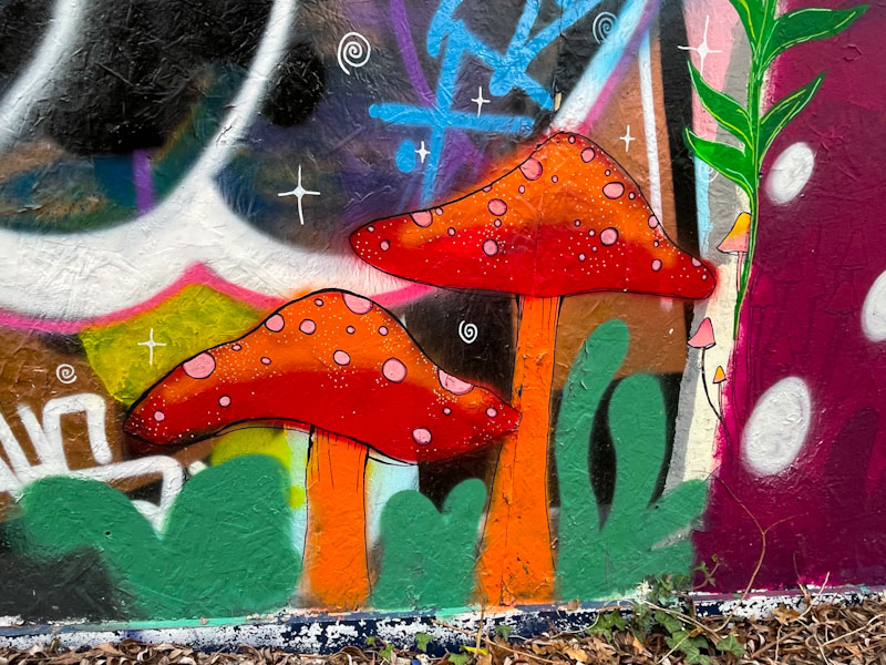 Lis (Le Imposter Design), Greenbank, Bristol, December 2024