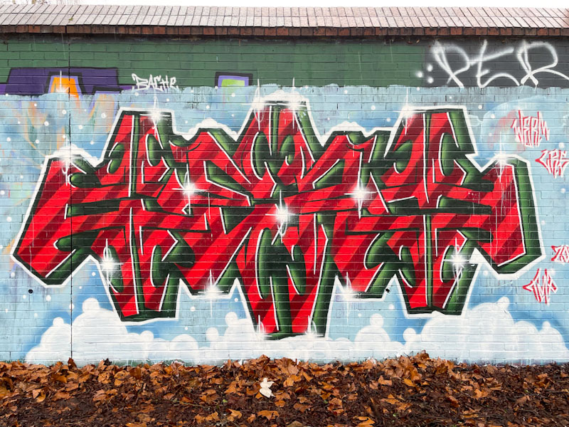 Werm, Sparke Evans Park, Bristol, January 2025