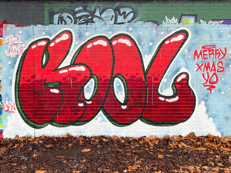 Kool Hand, Sparke Evans Park, Bristol, January 2025