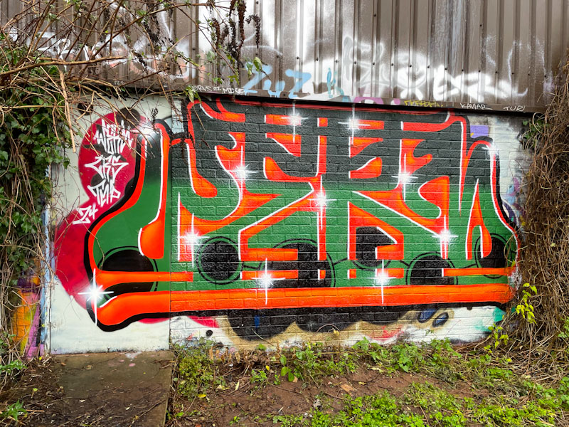 Werm, River Avon, Bristol, January 2025