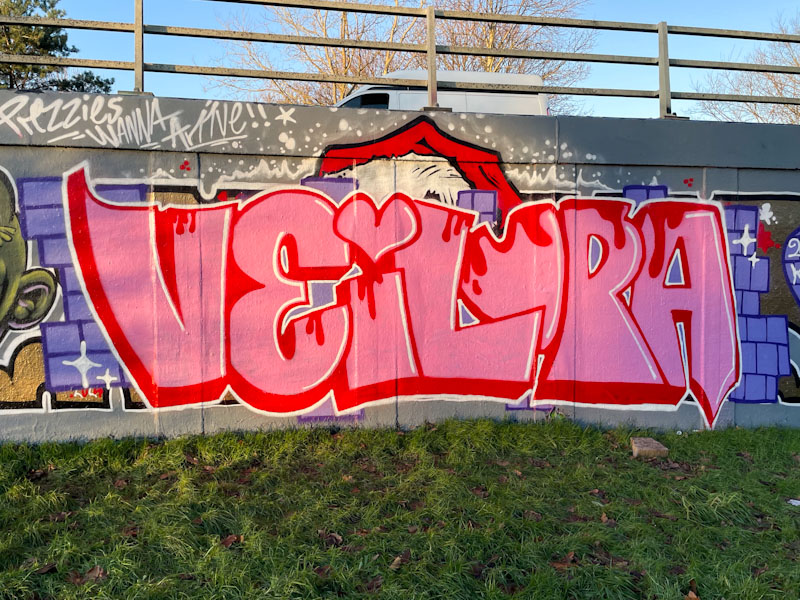 Desi and Lupa, M32 roundabout, Bristol, January 2025