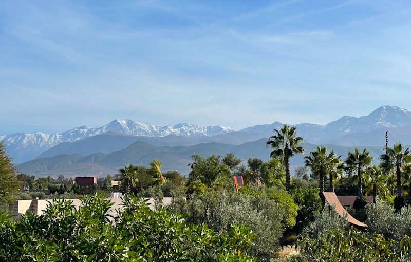 High Atlas from Anima Gardens, Marrakesh, Morocco, January 2025
