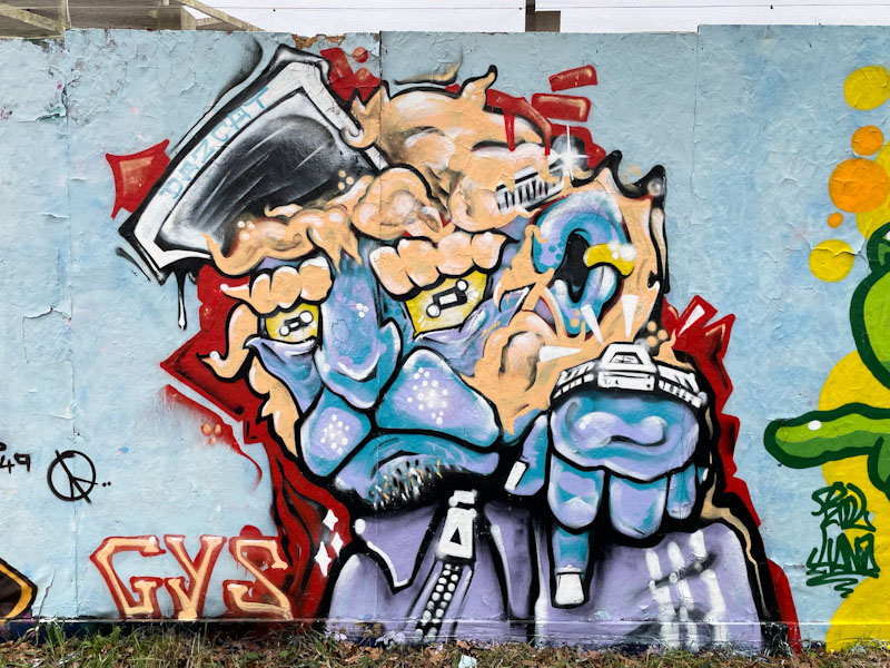 Daz Cat, Greenbank, Bristol, January 2025