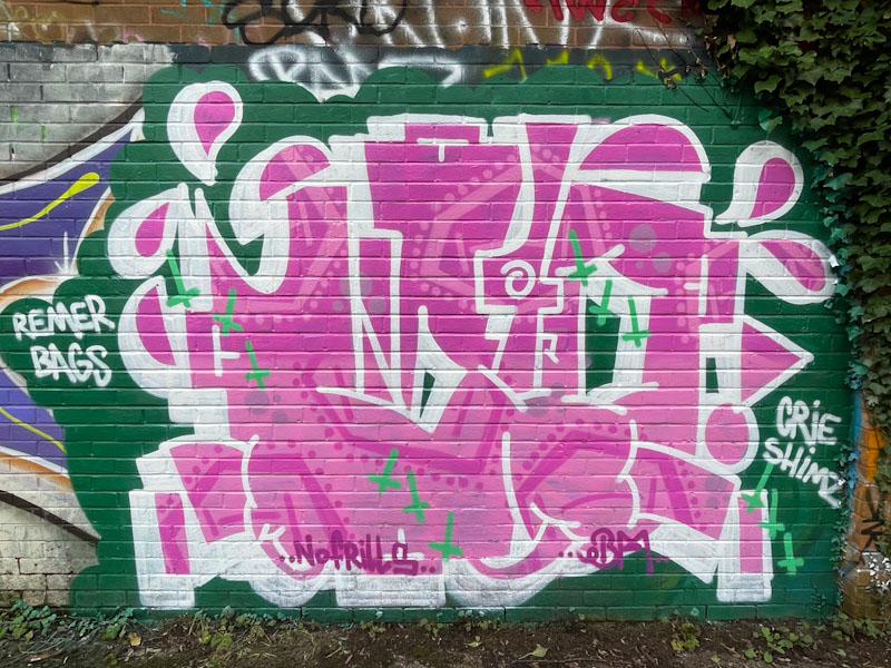 Biers, River Avon, Bristol, January 2025