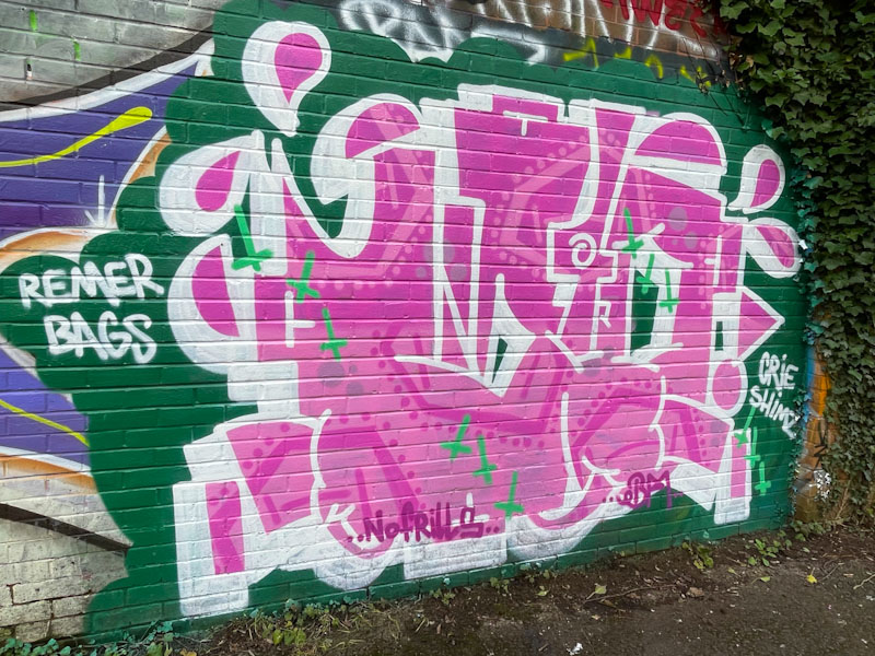 Biers, River Avon, Bristol, January 2025