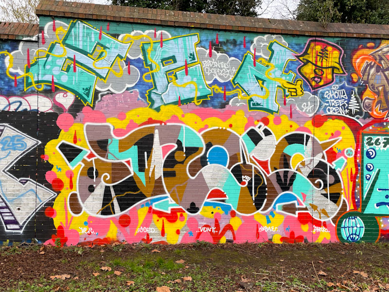 Zed in the Clouds and J9449j, Sparke Evans Park, Bristol, January 2025