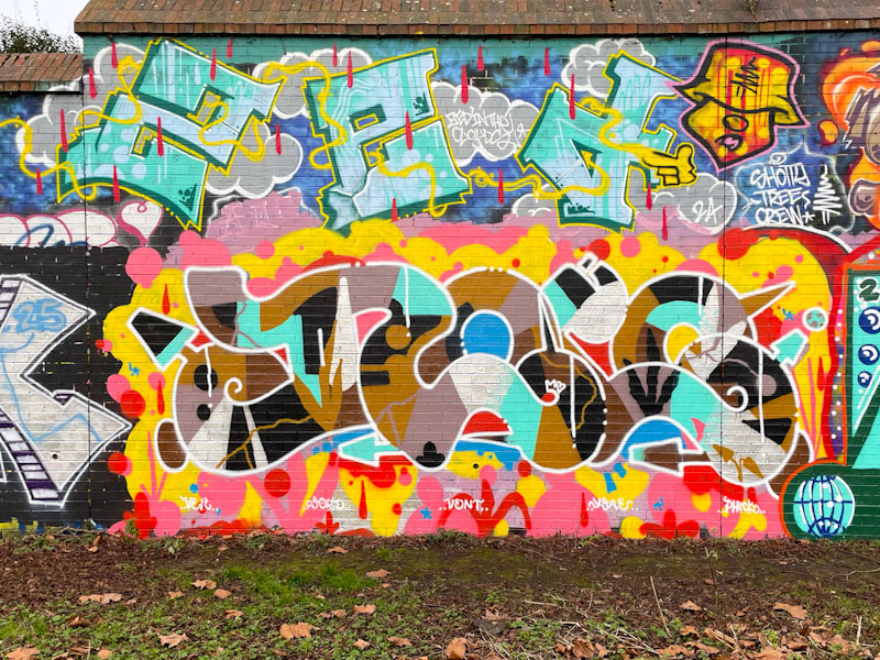 Zed in the Clouds and J9449j, Sparke Evans Park, Bristol, January 2025