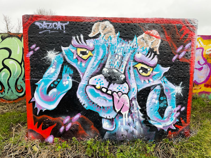 Daz Cat, Purdown, Bristol, January 2024