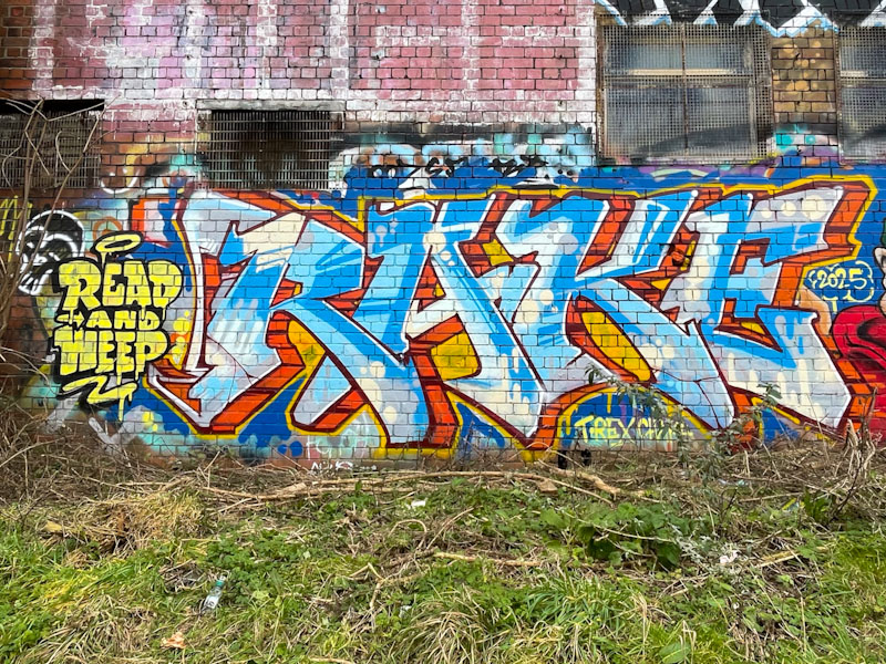 Ryder, M32 Cycle path, Bristol, January 2025