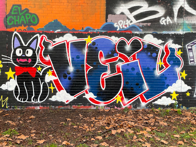 Desi, Sparke Evans Park, Bristol, January 2025