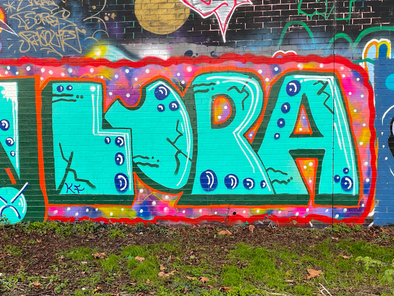 Lupa, Sparke Evans Park, Bristol, January 2025