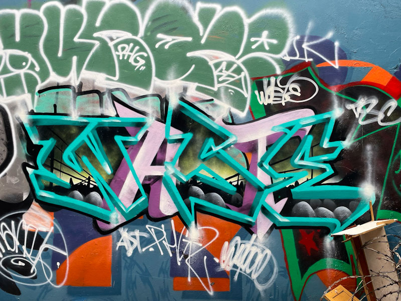 Piewaste, M32 Cycle path, Bristol, January 2025