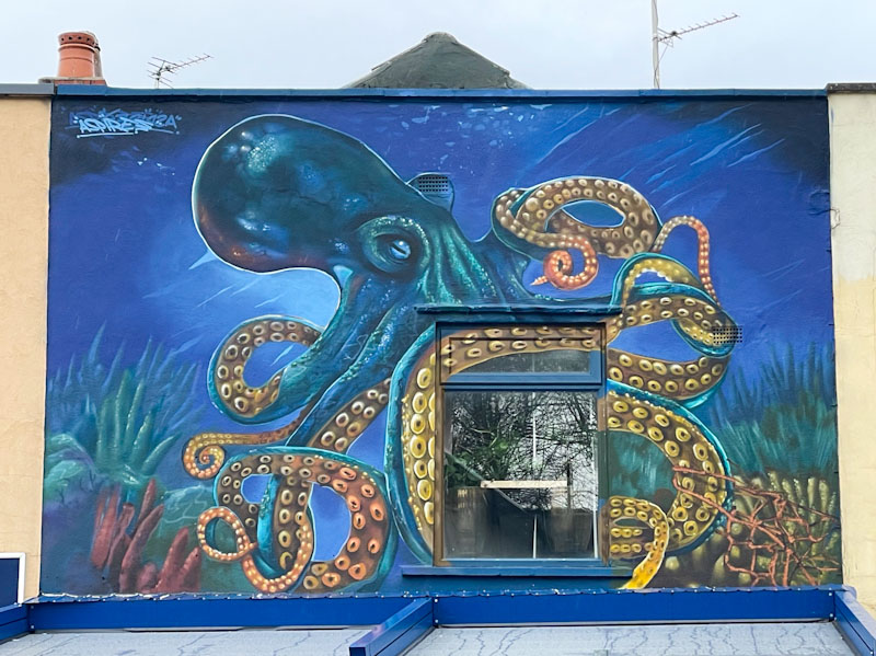 Aspire, Mina Road, Bristol, February 2025