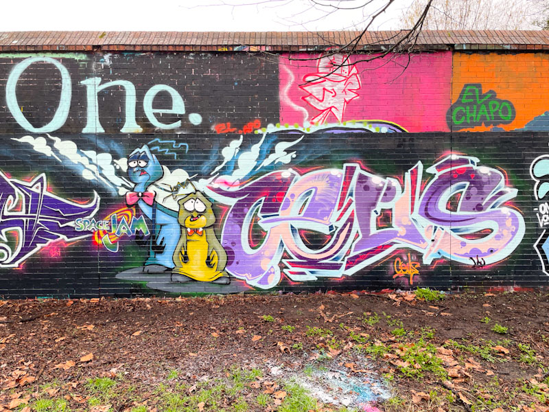 Ceus, Sparke Evans Park, Bristol, February 2025