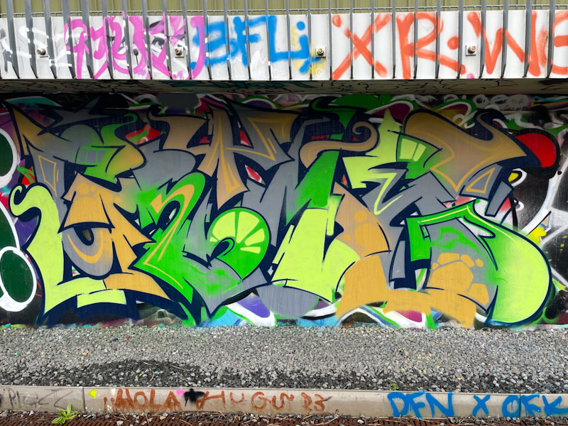 Grimes, River Avon, Bristol, February 2025