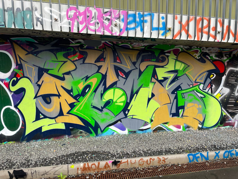 Grimes, River Avon, Bristol, February 2025