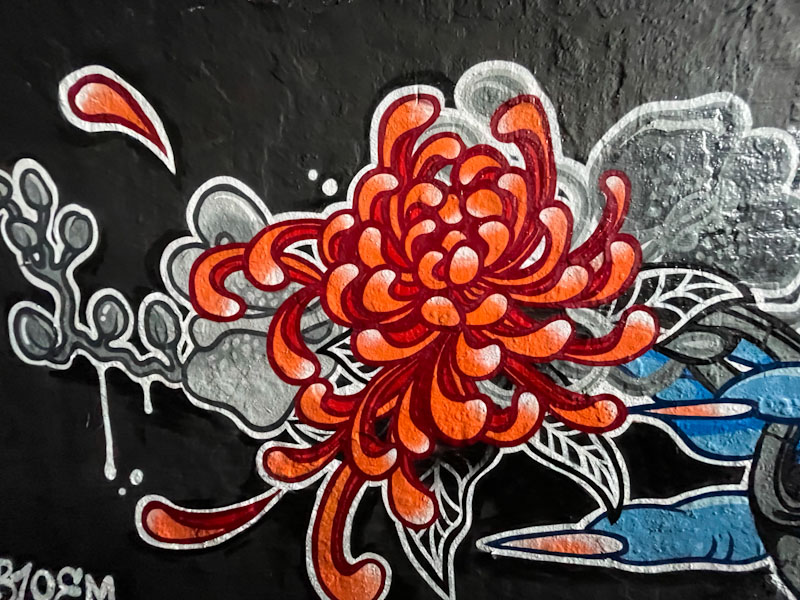 Bloem, St Werburghs, Bristol, February 2025