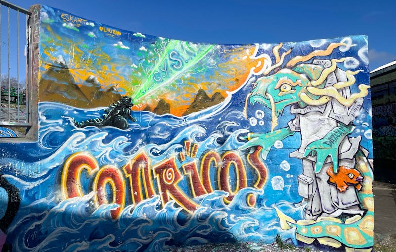 6786. Dean Lane skate park&nbsp;(810)