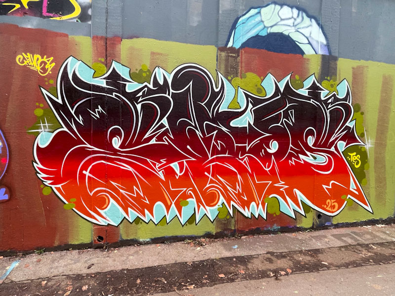 Elvs, M32 roundabout, Bristol, February 2025