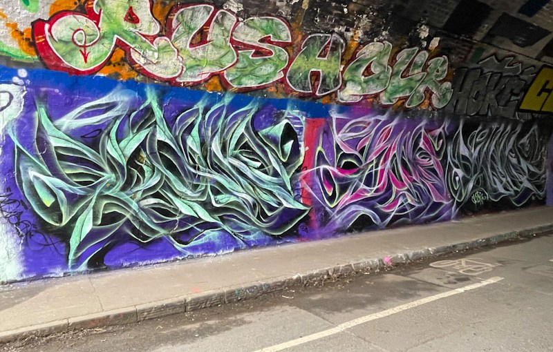 6798. St Werburghs tunnel&nbsp;(482)