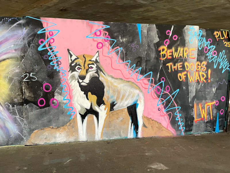 Jest Soubriquet, M32 Spot, Bristol, February 2025