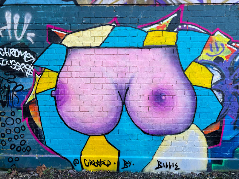 Created by Billie, Dean Lane, Bristol, February 2025