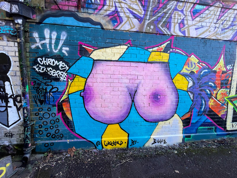 Created by Billie, Dean Lane, Bristol, February 2025