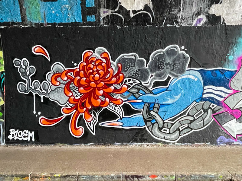 Bloem, St Werburghs, Bristol, February 2025