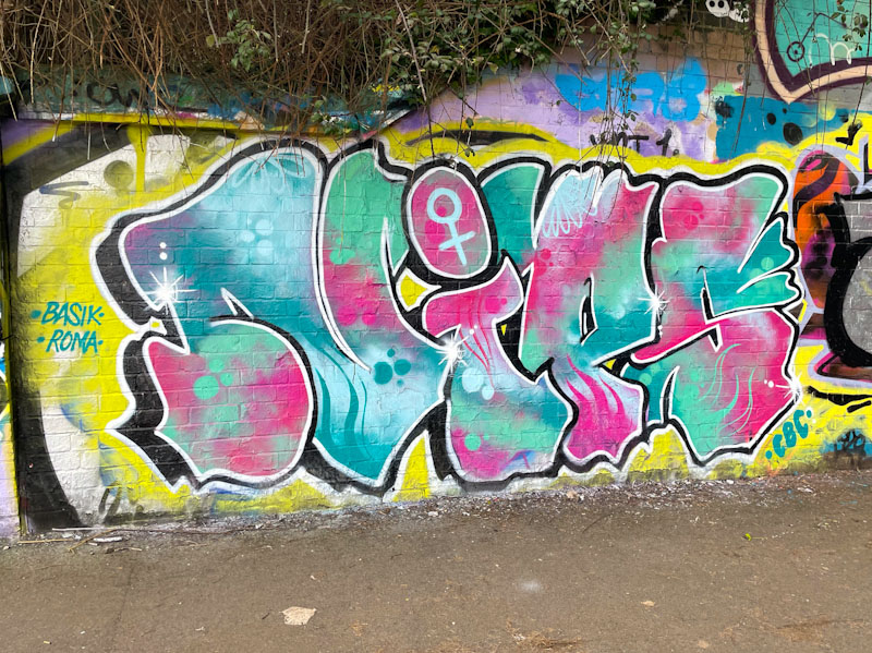 Nips, St Werburghs, Bristol, March 2025