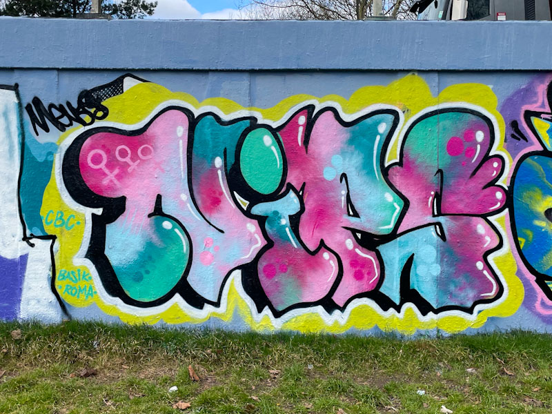 Nips, M32 roundabout, Bristol, March 2025