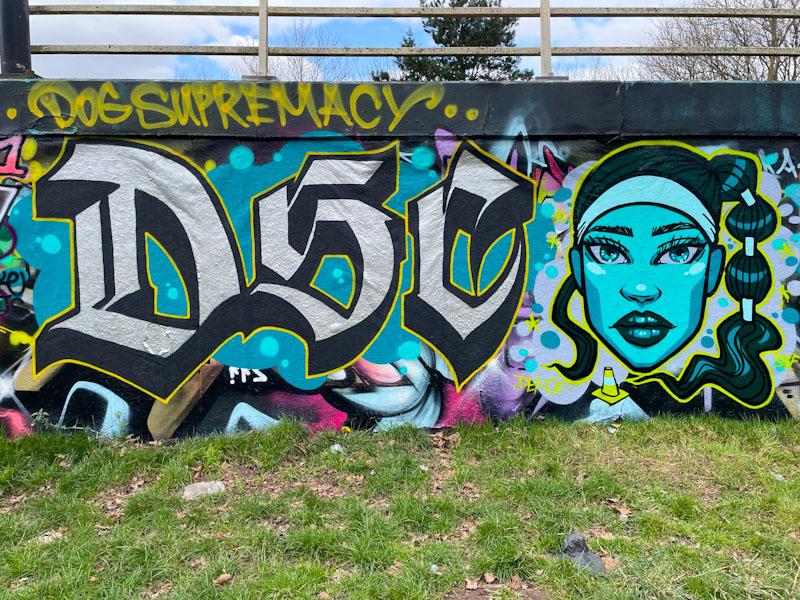 Stivs and Pekoe, M32 roundabout, Bristol, March 2025