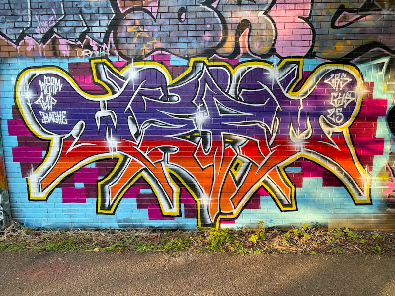 Werm, River Avon, Bristol, March 2025