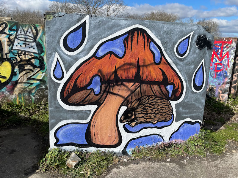 Lis, Purdown, Bristol, March 2025