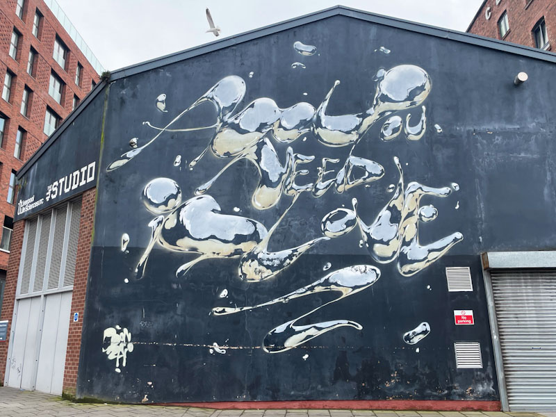 Dave Bonsai, Greenland Street, Liverpool, March 2025