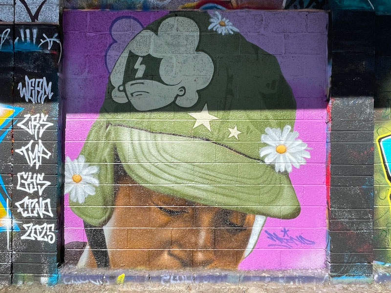 Mind 49, M32 Cycle path, Bristol, April 2025