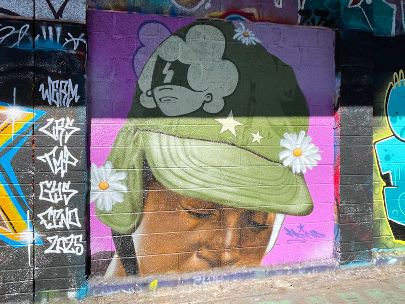 Mind 49, M32 Cycle path, Bristol, April 2025