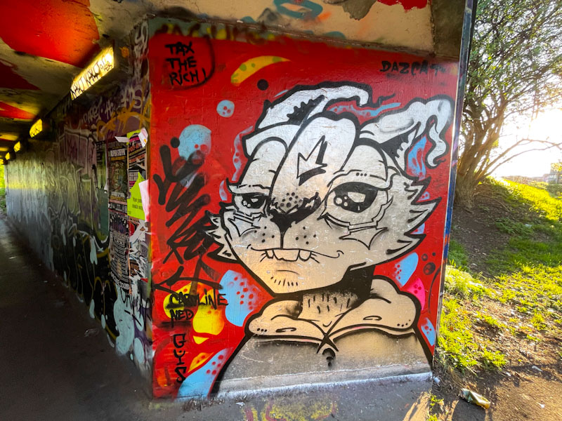 Daz Cat, M32 roundabout, Bristol, April 2025