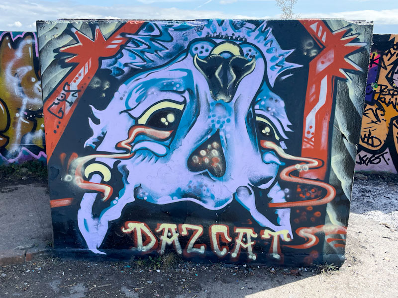 Daz Cat, Purdown, Bristol, April 2025