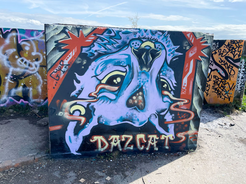 Daz Cat, Purdown, Bristol, April 2025