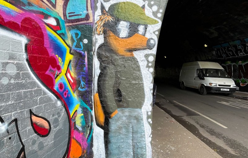 6902. St Werburghs tunnel&nbsp;(492)