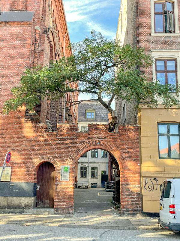 Door, archway and tree, Rigensgade, Copenhagen, September 2024