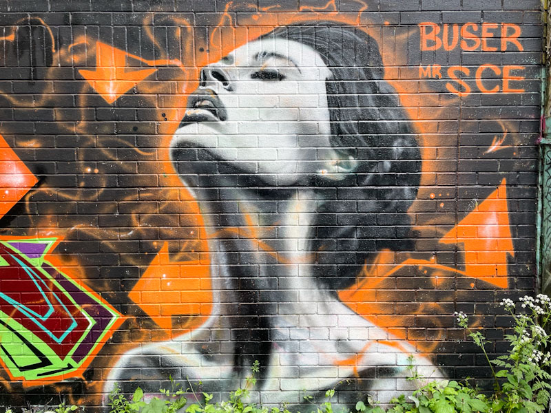 Mr SCE, River Avon, Bristol, April 2025