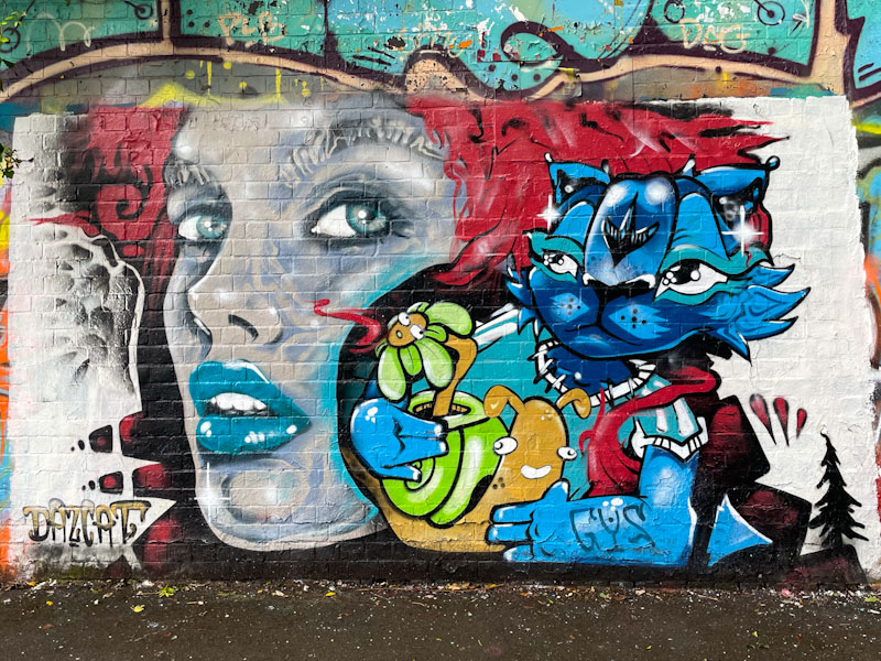 Daz Cat, St Werburghs, Bristol, June 2025