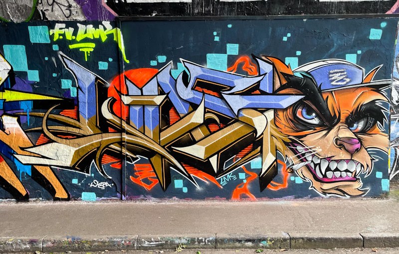 7006. St Werburghs tunnel&nbsp;(510)