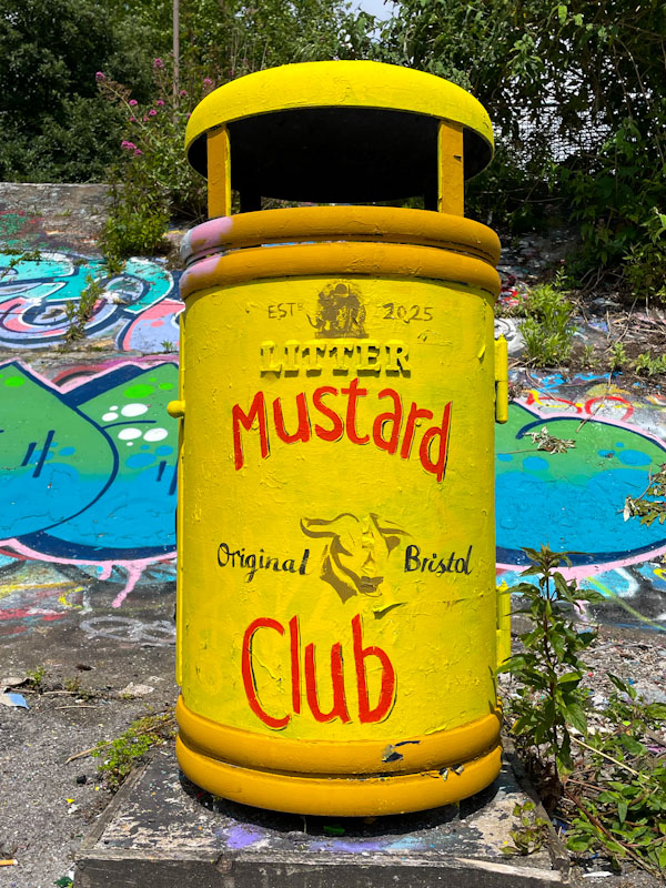 Nina Raines, Dean Lane, Bristol, June 2025