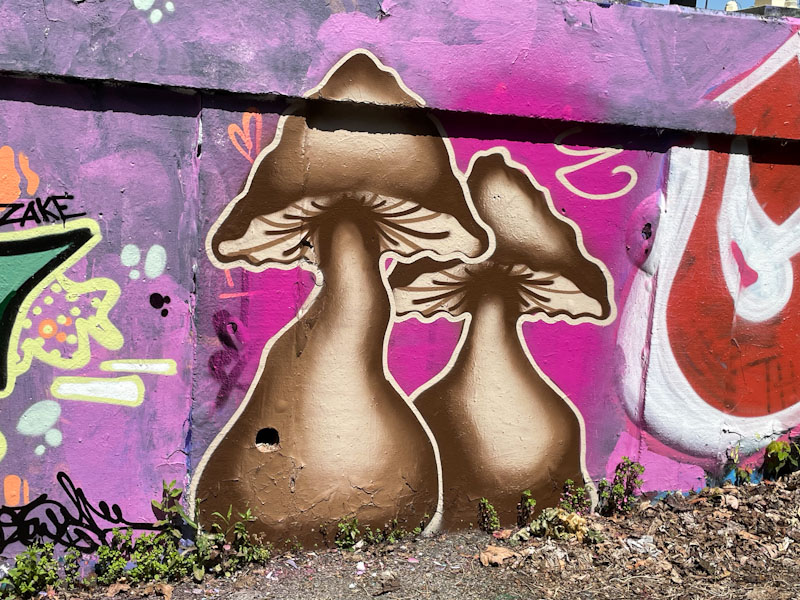 Dobz, M32 roundabout, Bristol, June 2025